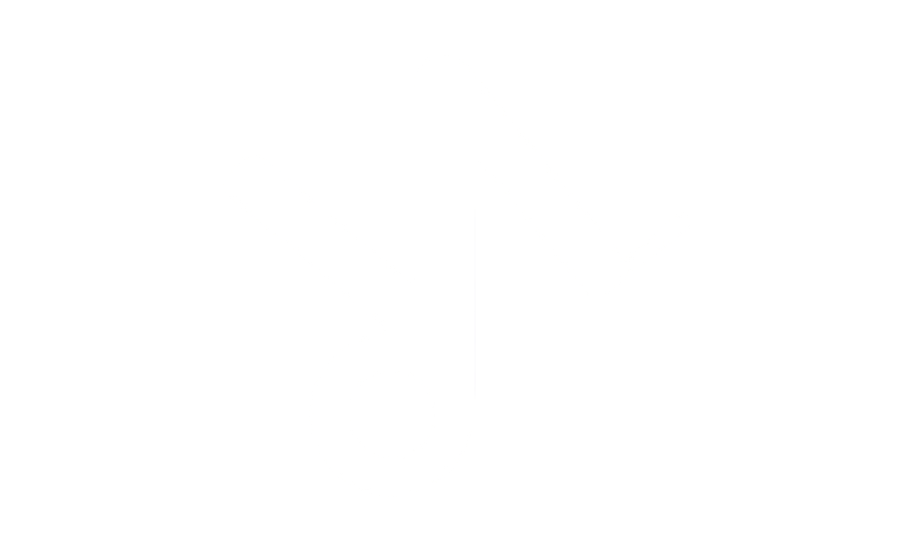 vi music logo